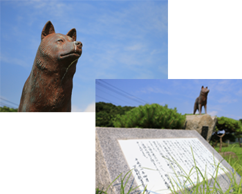 孤島の野犬像